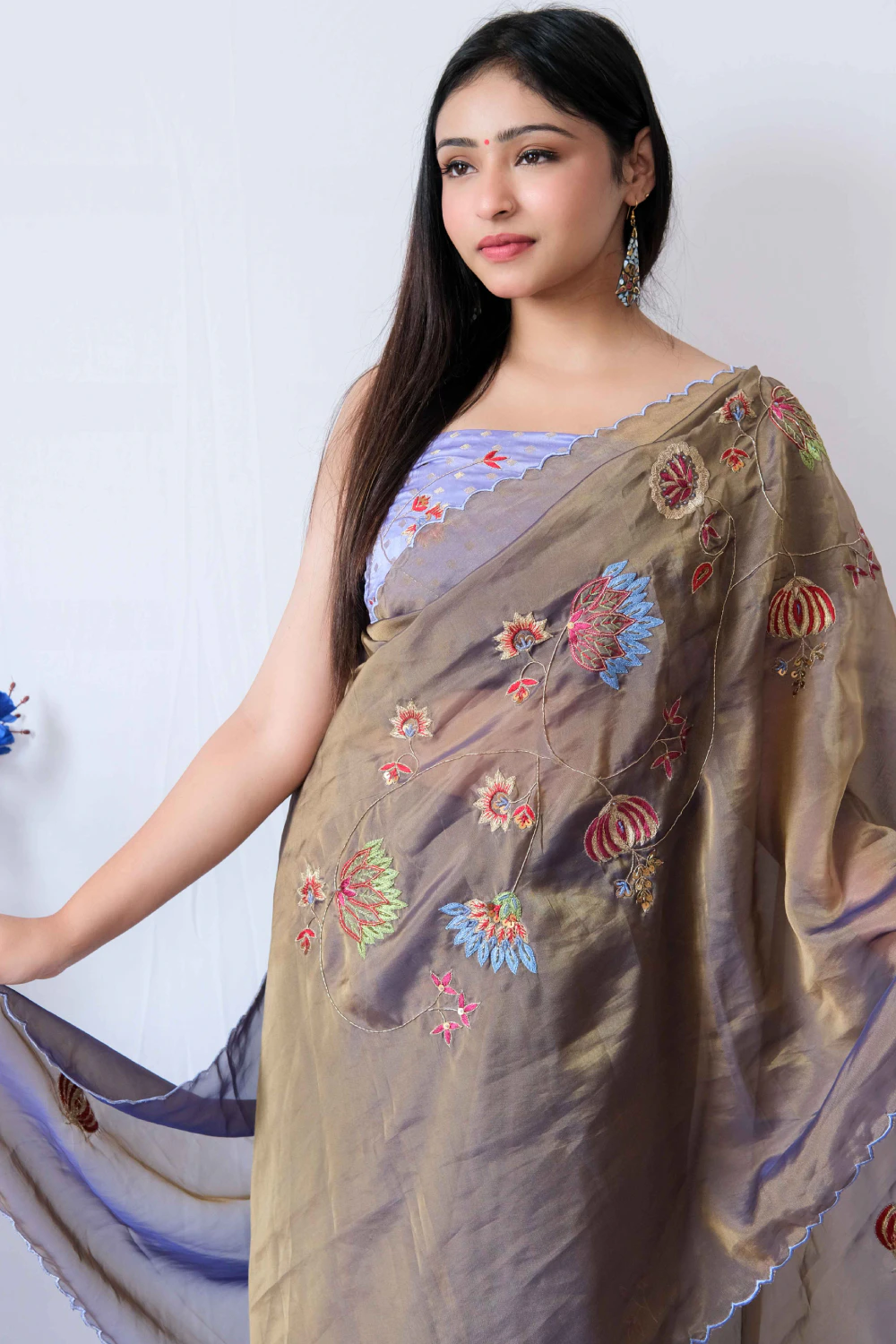 Dual shimmer tissue handwork saree
