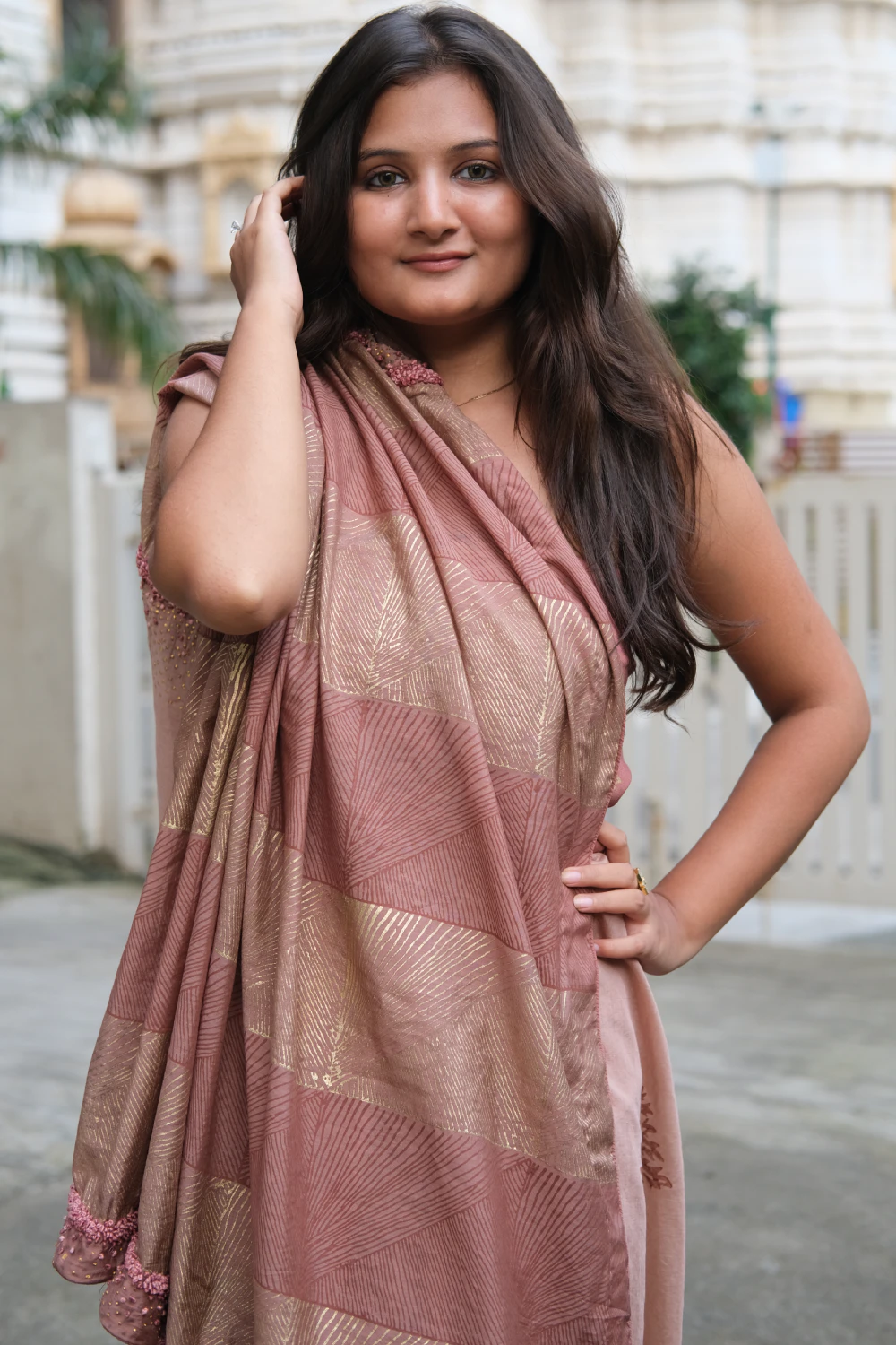 Chiku ombre dyed chanderi silk handprint & handwork saree